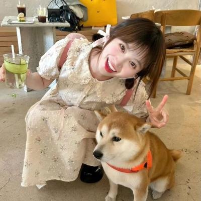 青春的陷阱