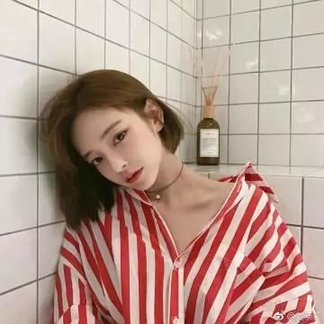 总统的分析